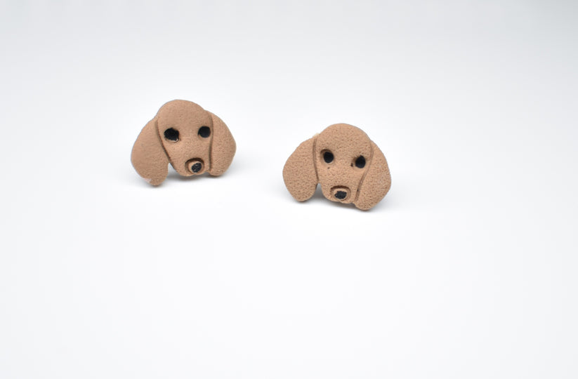 Daschund Stud 