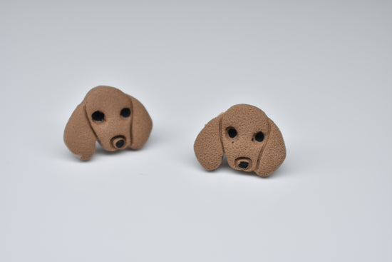 Daschund Stud 