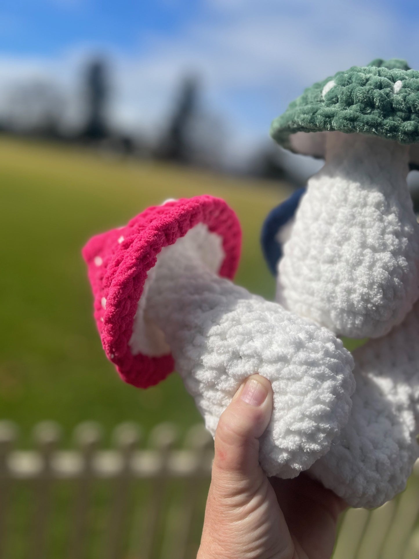 Medium Plushy Mushrooms