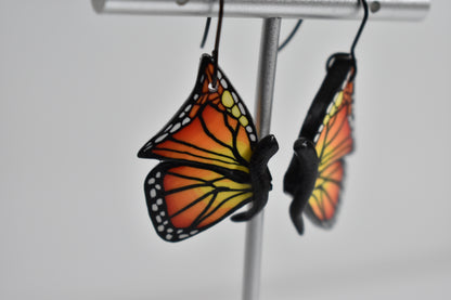Monarch Butterfly 