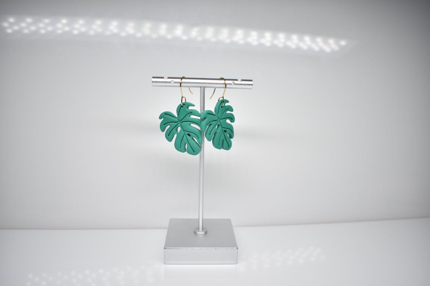 Monstera 