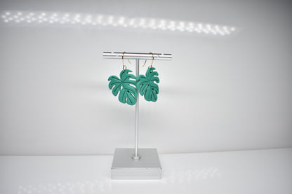 Monstera 