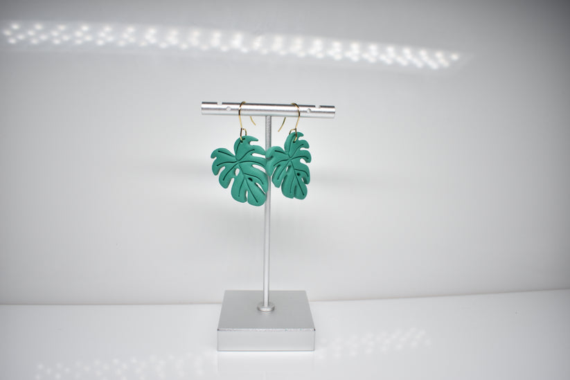 Monstera 