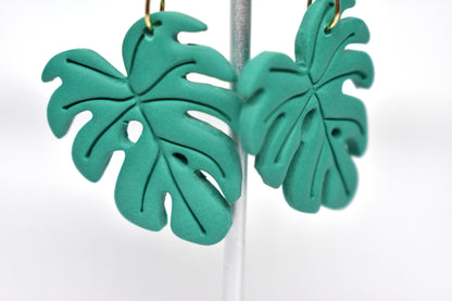 Monstera 