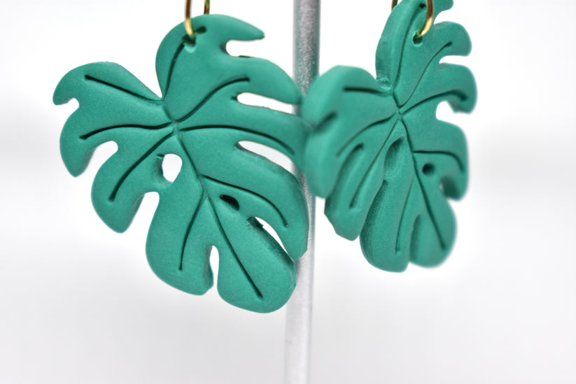 Monstera 